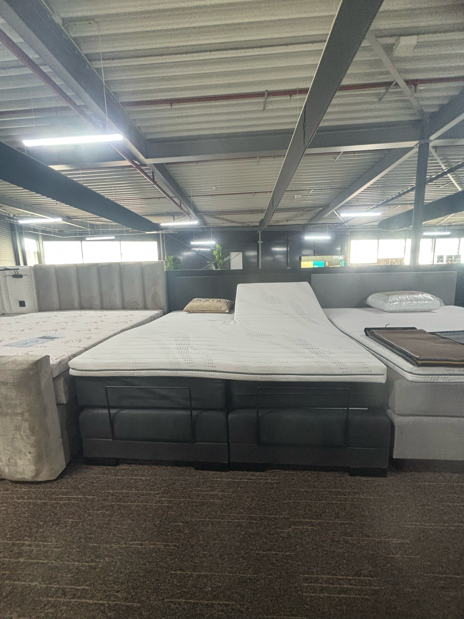 Goktug (elektrische)